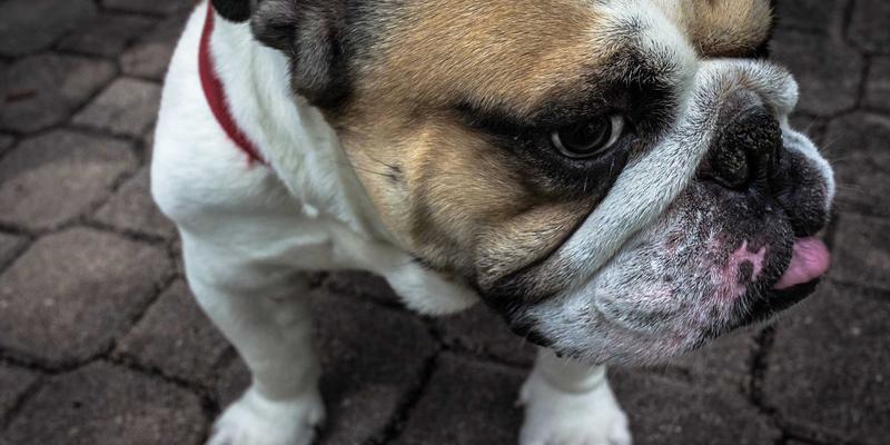 聚泰达39：以创新物流服务与智慧供应链解决方案，赋能现代商业运输新生态