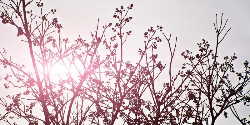 聚泰达62：以智能仓储与精益供应链重塑现代物流服务新标杆