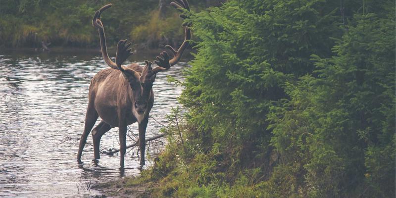 聚泰达仓储配送如何赋能零售业：破解全渠道订单履约与门店智能补货难题