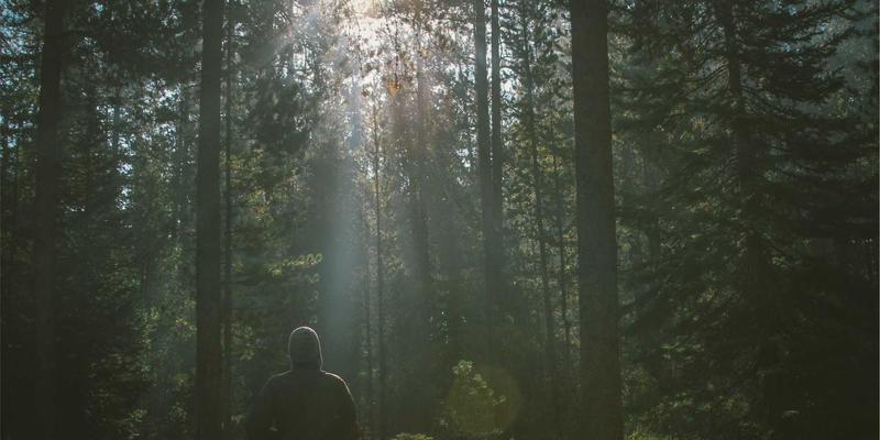 聚泰达发展：以智慧仓储与高效物流驱动现代供应链变革