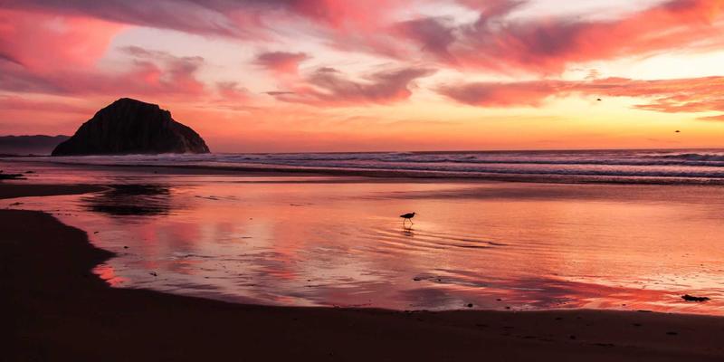 聚泰达应急物流体系建设：以智能仓储管理与高效物流服务保障供应链韧性