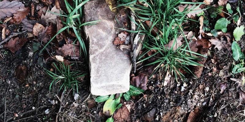 聚泰达物流供应商协同平台：整合承运商资源，打造弹性仓储配送服务体系