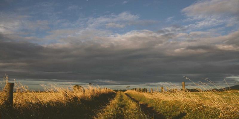 聚泰达物流科技研发：自动化分拣系统与AGV机器人如何重塑现代仓储管理与供应链效率